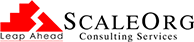 Scale Org Logo